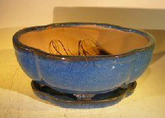 Blue Ceramic Bonsai Pot- Lotus Shape-Attached Humidity/Drip Tray-Professional Series-10.5 x 9.0 x 5.0