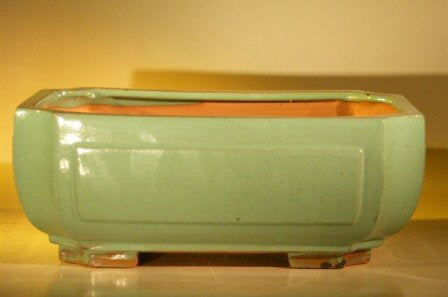Green Ceramic Bonsai Pot - Rectangle -Professional Series -12.0 x 9.5 x 4.75