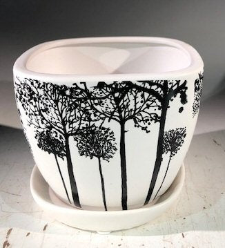 Tree Silhouette Bonsai Pot - Square-With Attached Humidity / Drip Tray-4.5 x 4.5 x 4