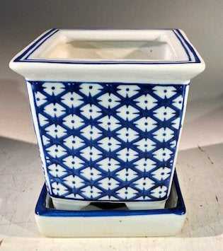 Blue on White Porcelain Bonsai Pot - Square -With Attached Humidity Drip Tray- 4 x 4 x 4