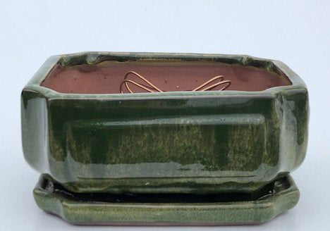 Wood-lawn Green Ceramic Bonsai Pot - Rectangle-Professional Series with Attached Humidity/Drip tray-8 x 6 x 4