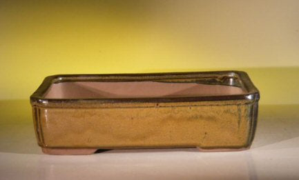 Olive Green Ceramic Bonsai Pot - Rectangle -11.5 x 8.5 x 3.0
