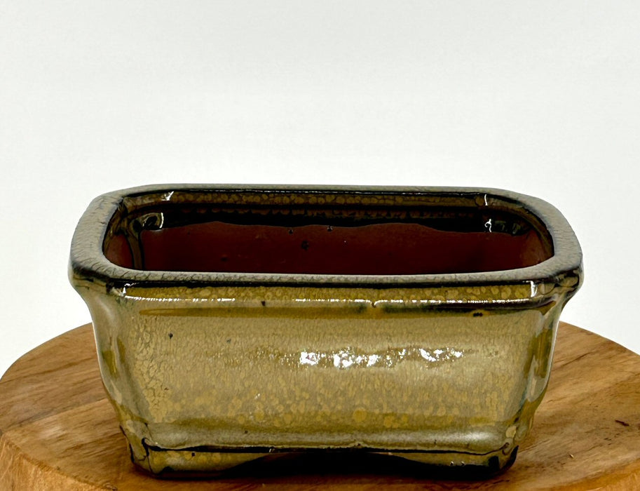 Olive Green Ceramic Bonsai Pot-Rectangle-5.25 x 4.0 x 2.25