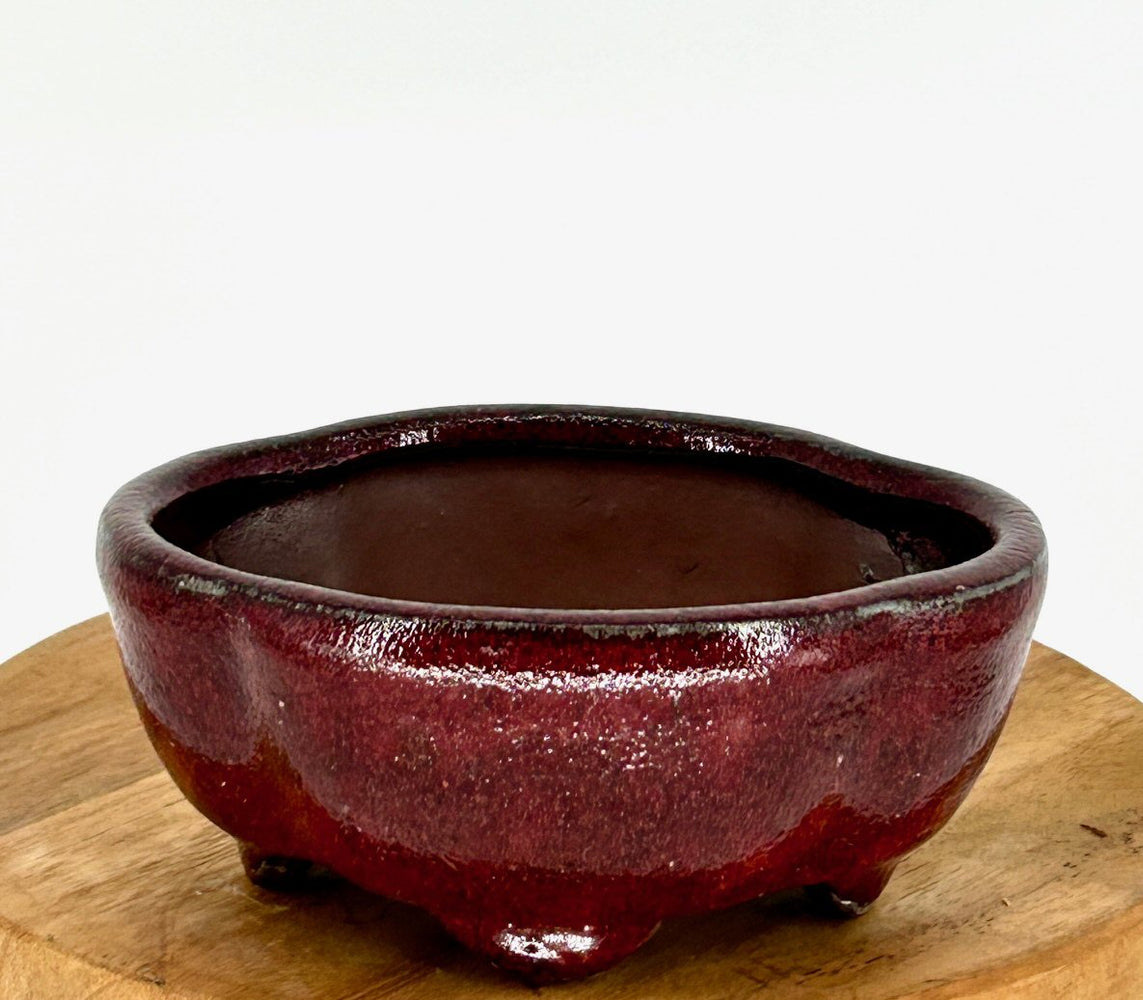 Parisian Red Ceramic Bonsai Pot-Lotus Shaped-5.25 x 4.0 x 2.25