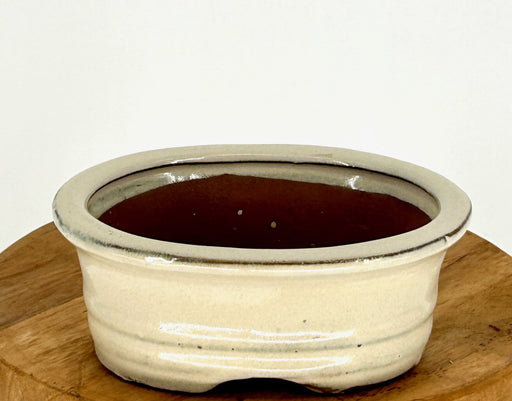 Beige Ceramic Bonsai Pot-Oval-5.25 x 4.0 x 2.25