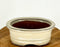 Beige Ceramic Bonsai Pot-Oval-5.25 x 4.0 x 2.25