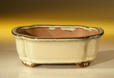 Beige Ceramic Bonsai Pot - Rectangle -6.125 x 5.0 x 2.125