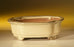 Beige Ceramic Bonsai Pot - Oval-7.0 x 5.5 x 2.375