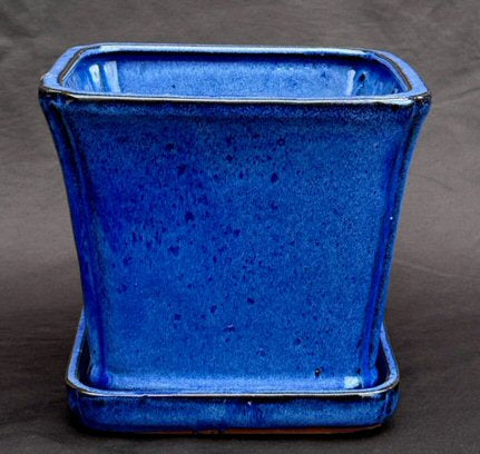 Blue Ceramic Bonsai Pot-Square With Attached Humidity / Drip Tray -7.5 x 7.5 x 6.75
