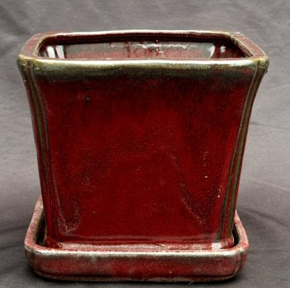 Parisian Red Ceramic Bonsai Pot-Square With Attached Humidity / Drip Tray -5.25 x 5.25 x 5.5