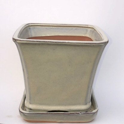 Beige Ceramic Bonsai Pot-Square With Attached Humidity / Drip Tray -7.5 x 7.5 x 7.0
