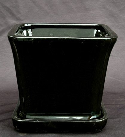 Black Ceramic Bonsai Pot-Square With Attached Humidity / Drip Tray -5.25 x 5.25 x 5.5