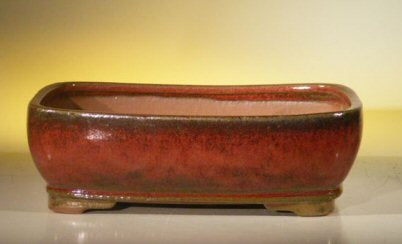 Parisian Red Ceramic Bonsai Pot - Rectangle-