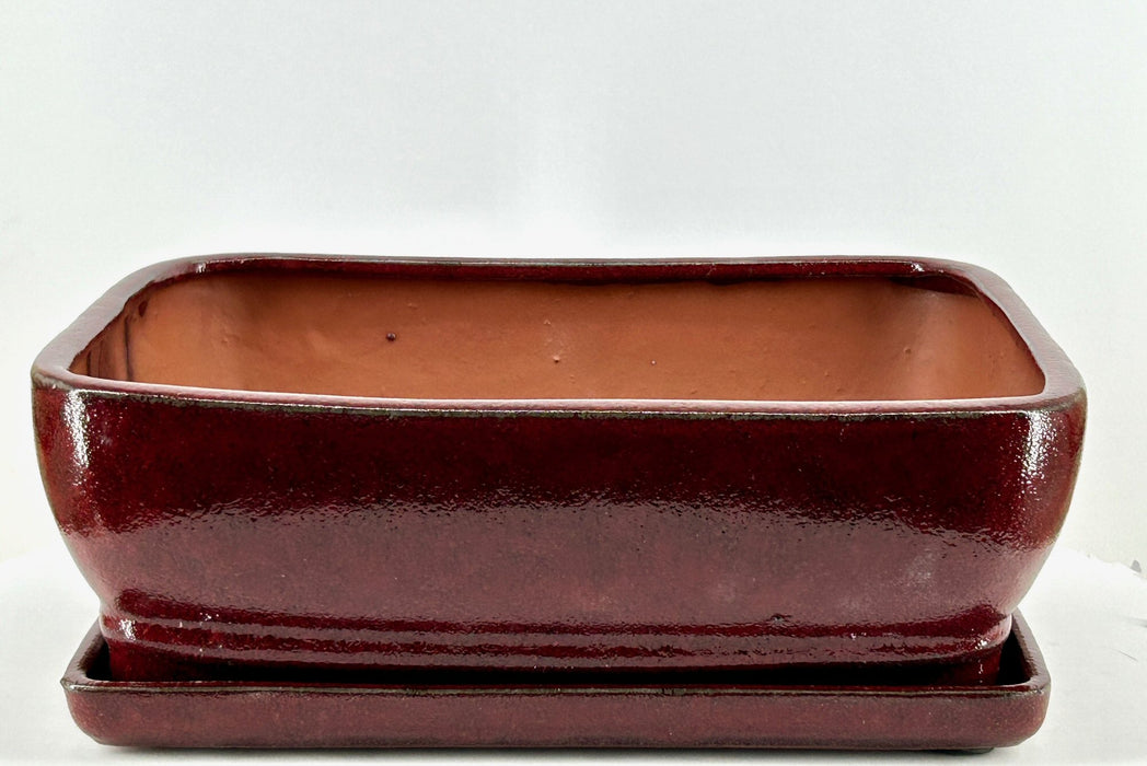 Parisian Red Rectangle Ceramic Bonsai Pot-With Humidity / Drip Tray