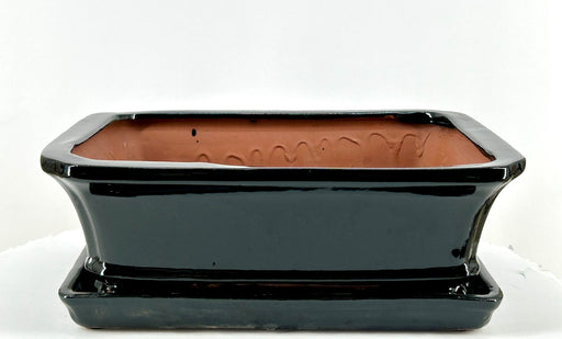 Black Rectangle Ceramic Bonsai Pot-With Humidity / Drip Tray