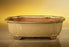 Beige Ceramic Bonsai Pot - Rectangle