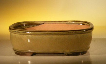 Olive Green Ceramic Bonsai Pot - Rectangle-10 x 8 x 3.125