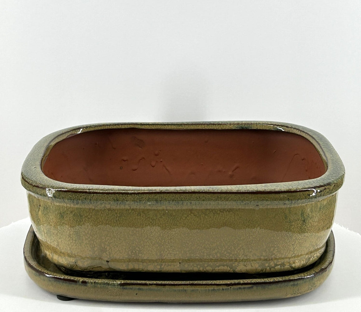 Olive Green Rectangle Ceramic Bonsai Pot-With Humidity Drip Tray