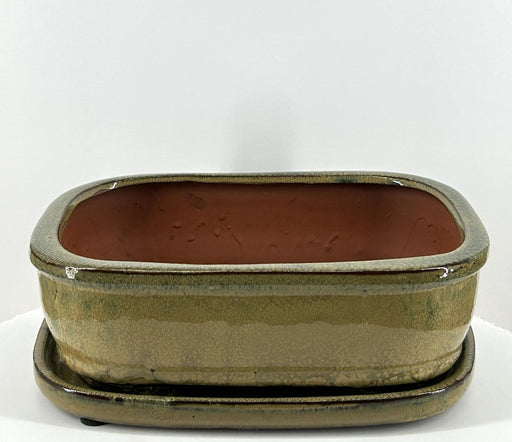 Olive Green Rectangle Ceramic Bonsai Pot-With Humidity Drip Tray