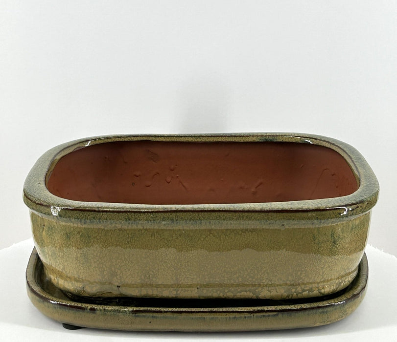Olive Green Rectangle Ceramic Bonsai Pot-With Humidity Drip Tray
