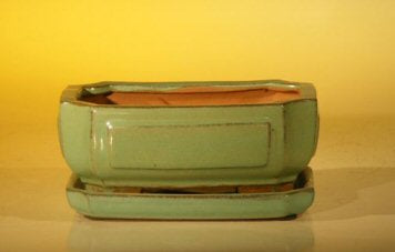 Light Green Ceramic Bonsai Pot - Rectangle -Professional Series with Attached Humidity/Drip tray-6.37 x 4.75 x 2.625