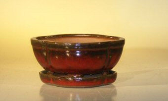 Parisian Red Ceramic Bonsai Pot- Oval -Attached Humidity/Drip Tray-Professional Series-6.37 x 4.75 x 2.625