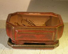Parisian Red Ceramic Bonsai Pot - Rectangle -Professional Series with Attached Humidity/Drip tray -6.37 x 4.75 x 2.625