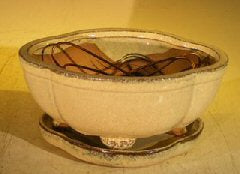 Beige Ceramic Bonsai Pot -Lotus Shaped- Professional Series with Attached Humidity/Drip Tray -6.37 x 4.75 x 2.625