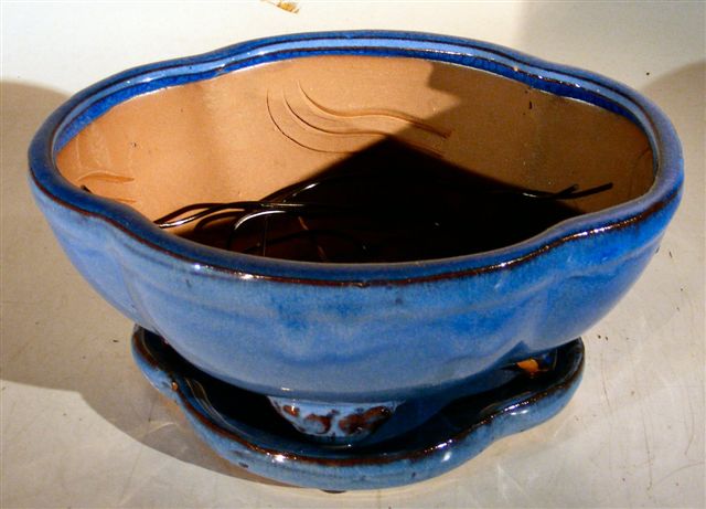 Blue Ceramic Bonsai Pot - Oval-Professional Series with Attached Humidity/Drip tray-8.5 x 7 x 4