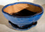 Blue Ceramic Bonsai Pot - Oval-Professional Series with Attached Humidity/Drip tray-8.5 x 7 x 4