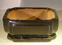 Black Ceramic Bonsai Pot- Rectangle -Professional Series With Attached Humidity/Drip Tray -8.5 x 6.75 x 4.0