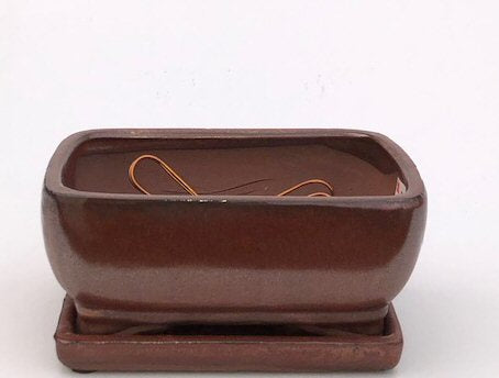 Aztec Orange Ceramic Bonsai Pot-Professional Series-Rectangle - With Attached Humidity/Drip Tray-8.25 x 6.5 x 4