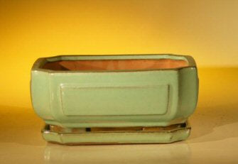 Light Green Ceramic Bonsai Pot - Rectangle-Professional Series With Attached Humidity/Drip tray-8.5 x 6.5 x 3.5