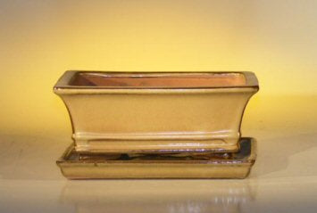 Olive Green Ceramic Bonsai Pot - Rectangle-Professional Series with Attached Humidity/Drip tray-8.5 x 6.5 x 3.5