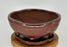 Aztec Orange Ceramic Bonsai Pot - Lotus Shape- Attached Humidity/Drip tray-8.5 x 6.5 x 3.5