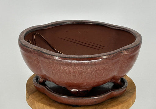 Aztec Orange Ceramic Bonsai Pot - Lotus Shape-Professional Series with Attached Humidity/Drip tray-8.5 x 6.5 x 3.5