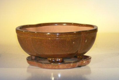 Aztec Orange Ceramic Bonsai Pot - Lotus Shape-Professional Series with Attached Humidity/Drip tray-8.5 x 6.5 x 3.5