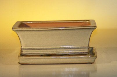 Beige Ceramic Bonsai Pot - Rectangle-With Attached Humidity/Drip tray-8.5 x 6.5 x 3.5