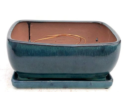Blue / Green Ceramic Bonsai Pot - Rectangle -Professional Series with Attached Humidity/Drip Tray -10.75 x 8.5 x 4.125