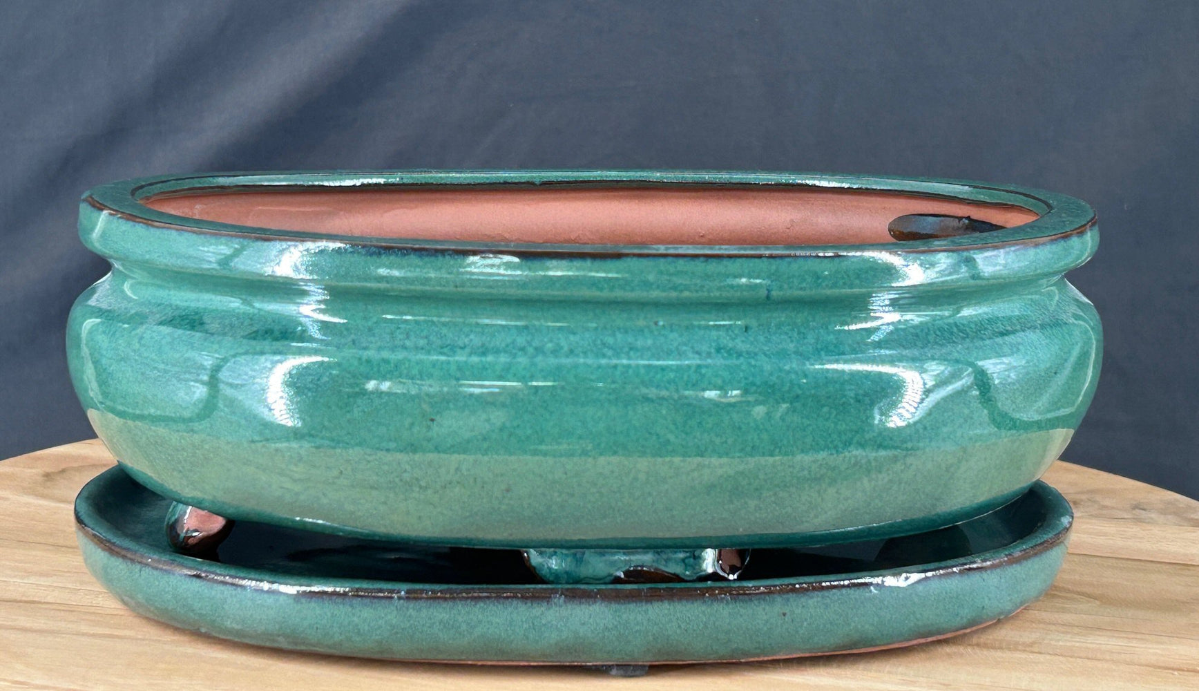 Coastal Jade Bonsai Pot - With Matching Humidity Drip Tray - 9.75" x 8.0" x 3.25"
