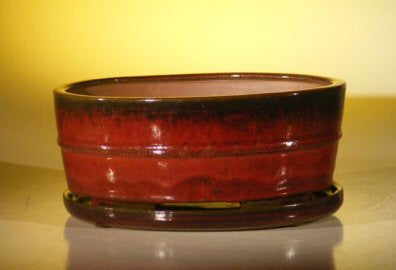 Parisian Red Ceramic Bonsai Pot - Oval -Professional Series with Attached Humidity/Drip Tray -10.75 x 8.5 x 4.125