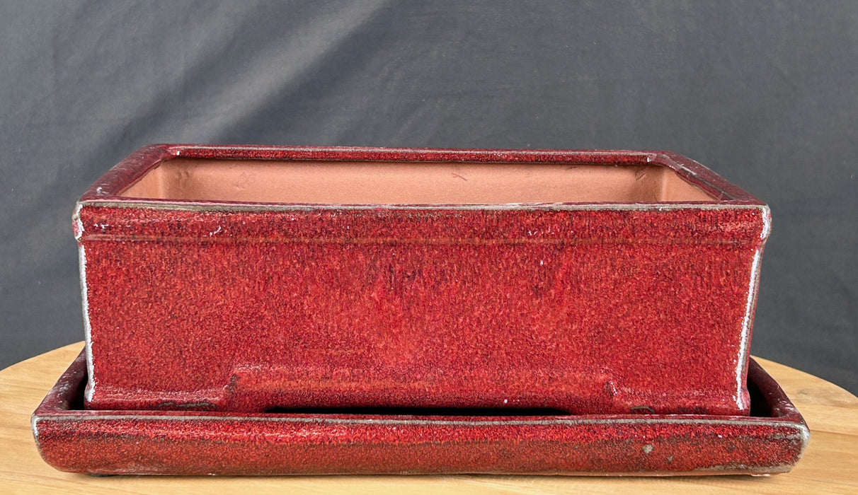 Parisian Red Bonsai Pot - With Matching Humidity Drip Tray - 10.25" x 7.5" x 3.25"