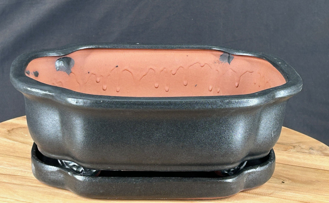 Matte Black Bonsai Pot - With Matching Humidity Drip Tray - 10.5" x 8.75" x 3.25"
