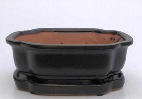 Black Ceramic Bonsai Pot - Rectangle-With Humidity Drip Tray-10.5 x 8.75 x 4