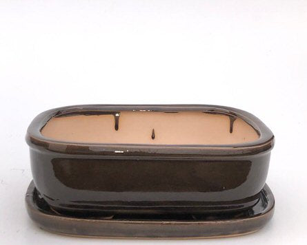 Bronze Ceramic Bonsai Pot - Rectangle-With Humidity Drip Tray-10.5 x 8.25 x 3.5