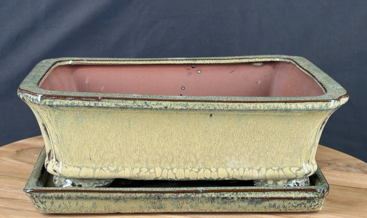 Olive Green Bonsai Pot - With Matching Humidity Drip Tray - 10.25" x 8.0" x 3.0"