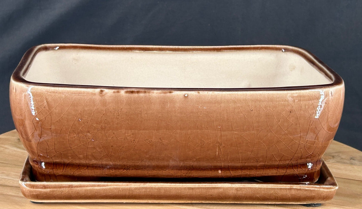 Antique Terracotta Bonsai Pot - With Matching Humidity Drip Tray - 10.75" x 8.25" x 3.25"