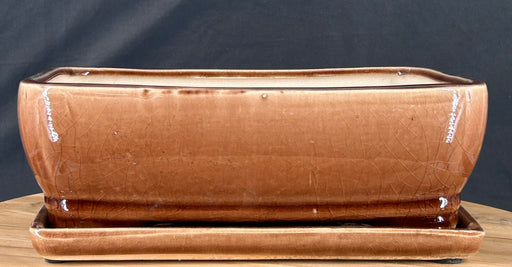 Antique Terracotta Bonsai Pot - With Matching Humidity Drip Tray - 10.75" x 8.25" x 3.25"