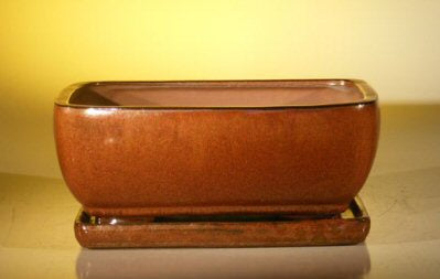 Aztec Orange Ceramic Bonsai Pot - Rectangle -Professional Series with Attached Humidity/Drip tray -10.5 x 8.0 x 4.5