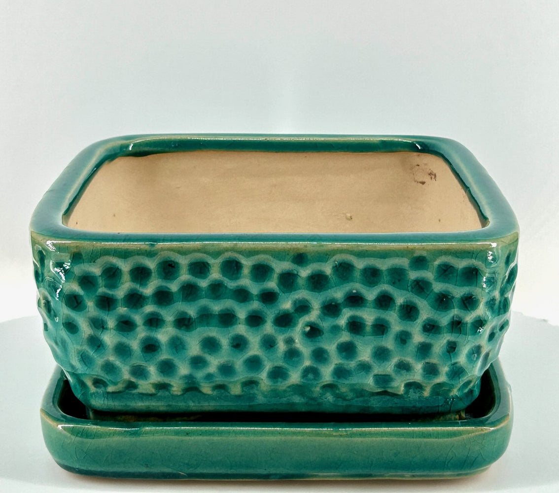 Crackle Teal Green Square Ceramic Bonsai Pot-With Humidity / Drip Tray-9
